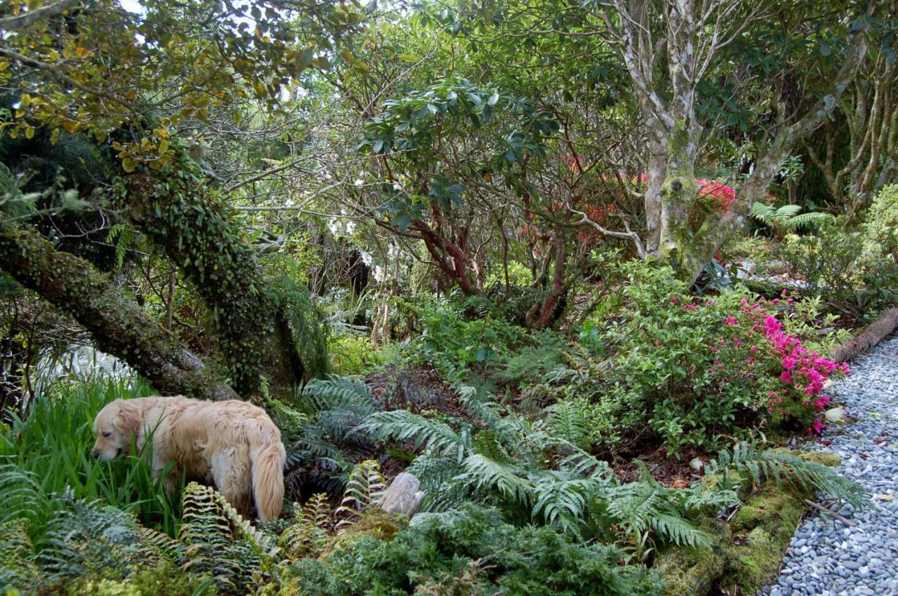 Oak Lodge Greymouth Dış mekan fotoğraf